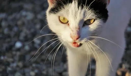 DSC_3297_OK