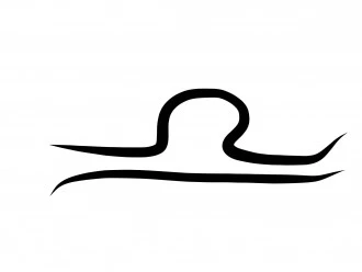 Graphic by Freyja Zazu