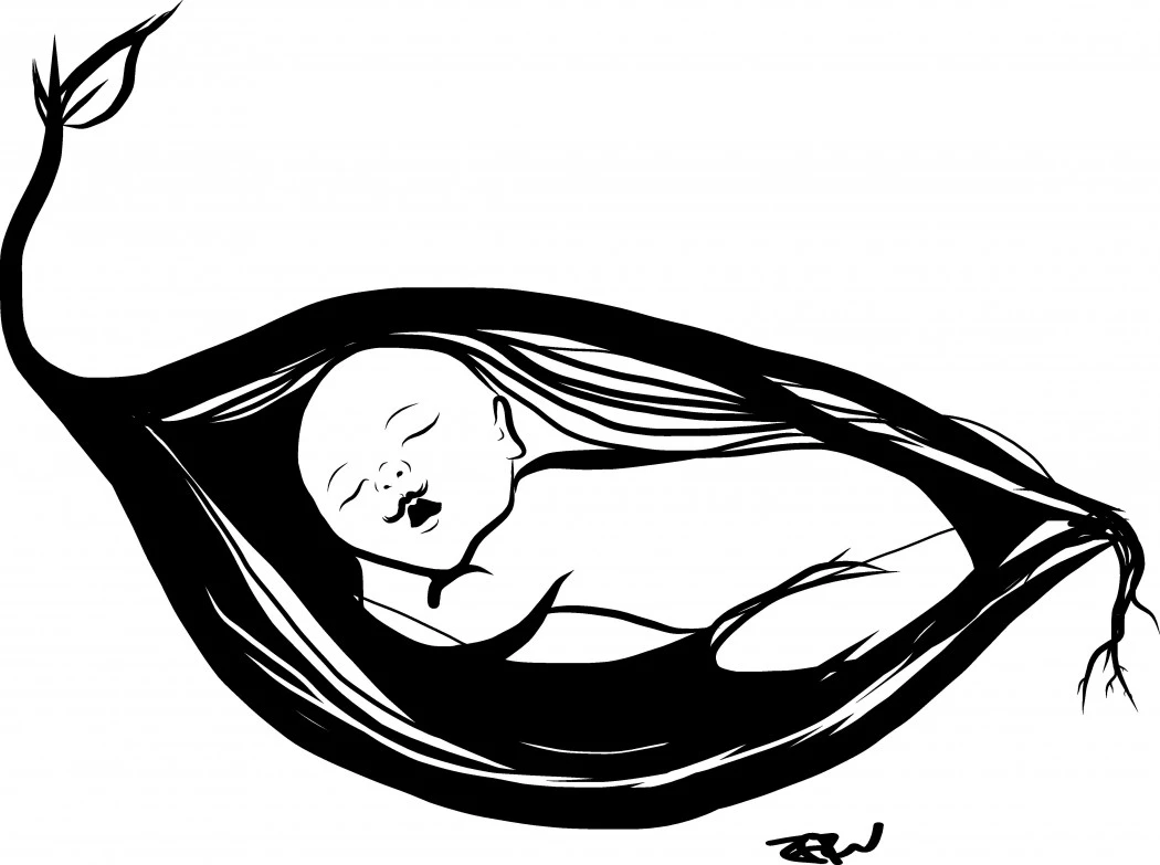 Drawing by Freyja Zazu