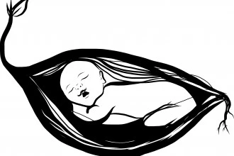 Drawing by Freyja Zazu