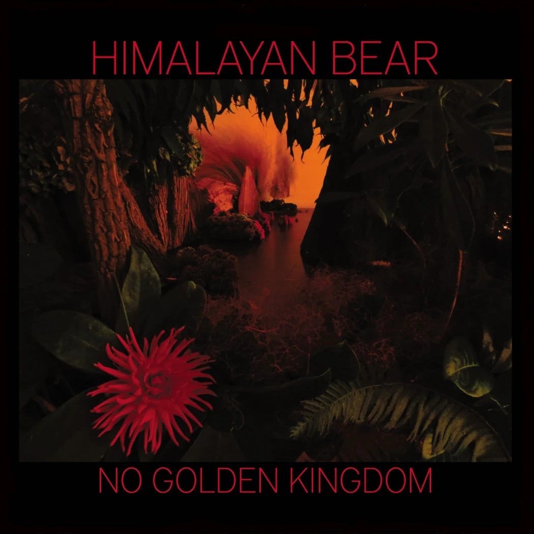 No Golden Kingdom Cover